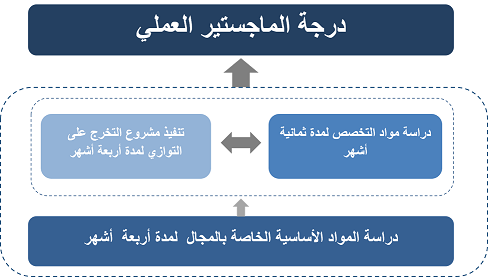 البرنامج الدراسي مبادرة بُناة مصر الرقمية